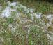 hagel_3107.jpg